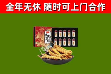 东丽区回收冬虫夏草价格