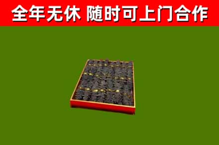 东丽区回收海参